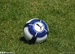 法足协主席,承诺,将向国际足,开云体育,开云体育官网,开云体育app,开云体育平台,KAIYUN,SPORTS,kaiyun登录入口