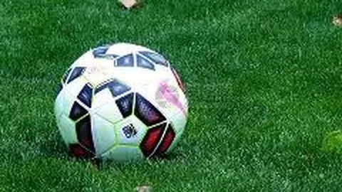 刘诗雯有望加盟浙江大学攻读博士学位