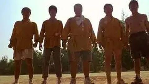 Kaiyun开云官方网站 资讯 113931 0cq